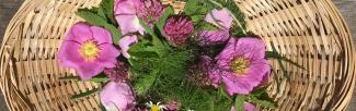 Wildroses basket